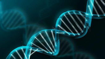 生物醫(yī)藥行業(yè)需 定軍心 ,用輕流管理訂單實(shí)現(xiàn) 國際范