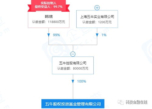 危墻之下 當(dāng)圍堵成為謝幕序曲——聚焦ST巖石的理財(cái)夢(mèng)碎與資本困局
